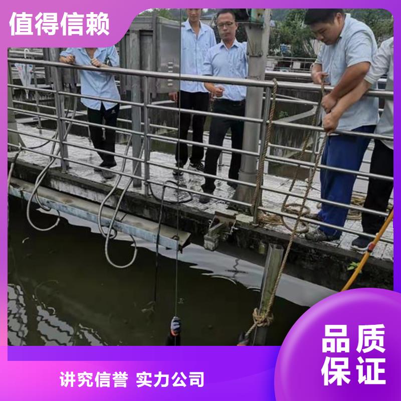 水下录像公司-蛙人潜水团队