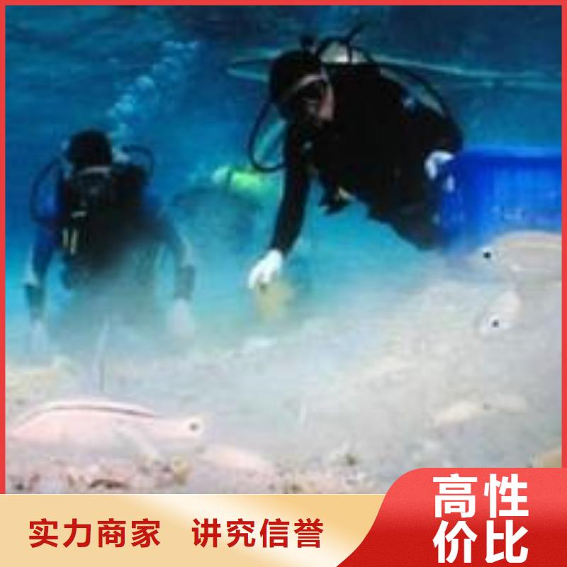 水下探摸公司-本地潜水队伍