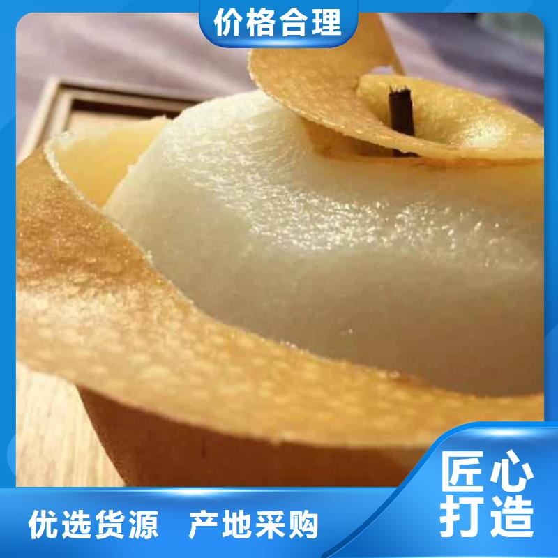 秋月梨苗品种