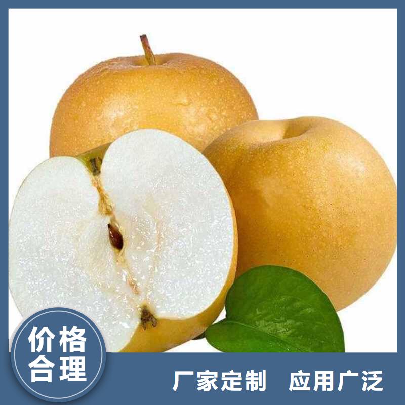 梨杜梨苗来图定制量大从优