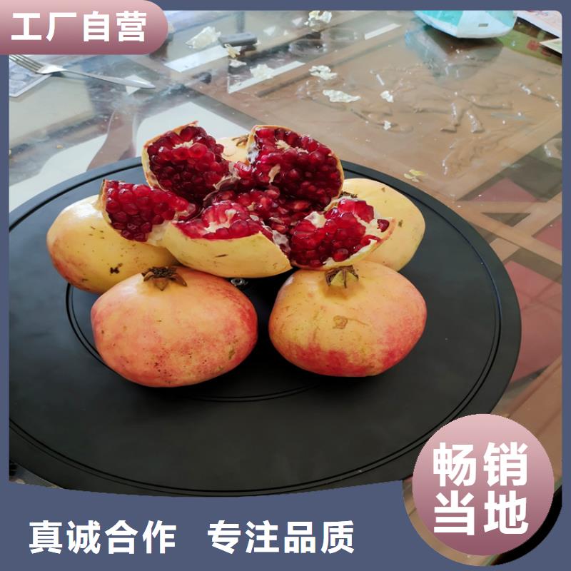 黑籽石榴树苗经济效益