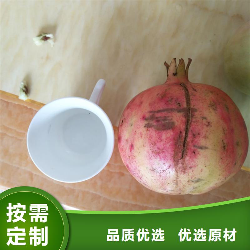甜籽石榴树苗量大从优