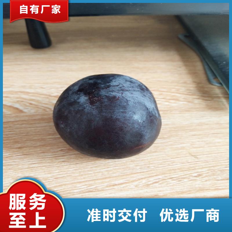李子樱桃苗一手货源