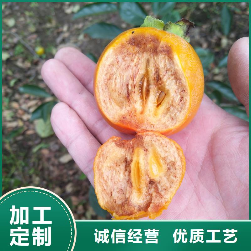 甜柿子树育苗基地