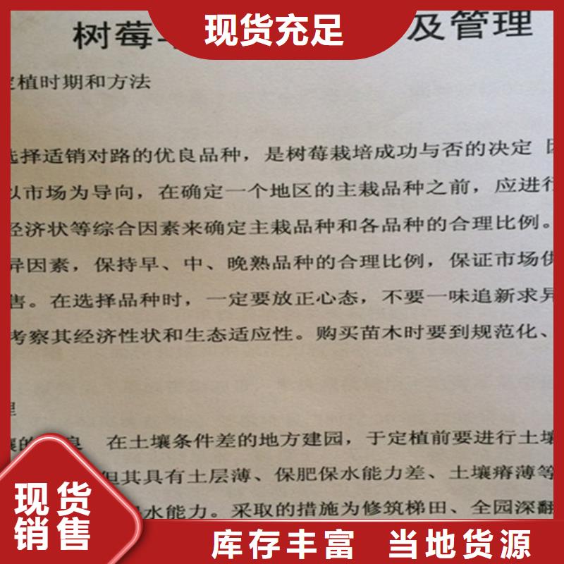树莓苗成活率高