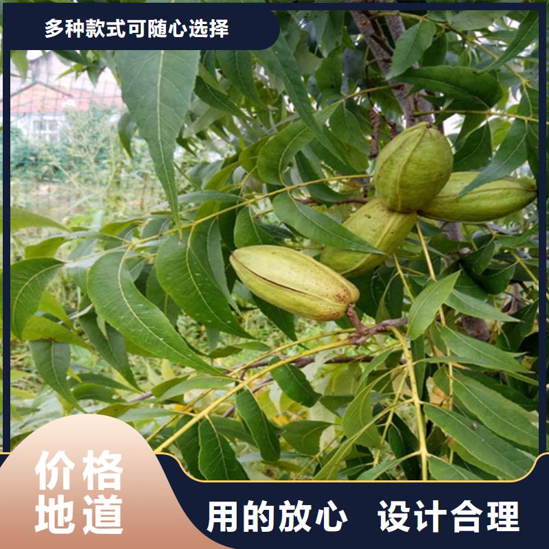 碧根果树苗产量多少