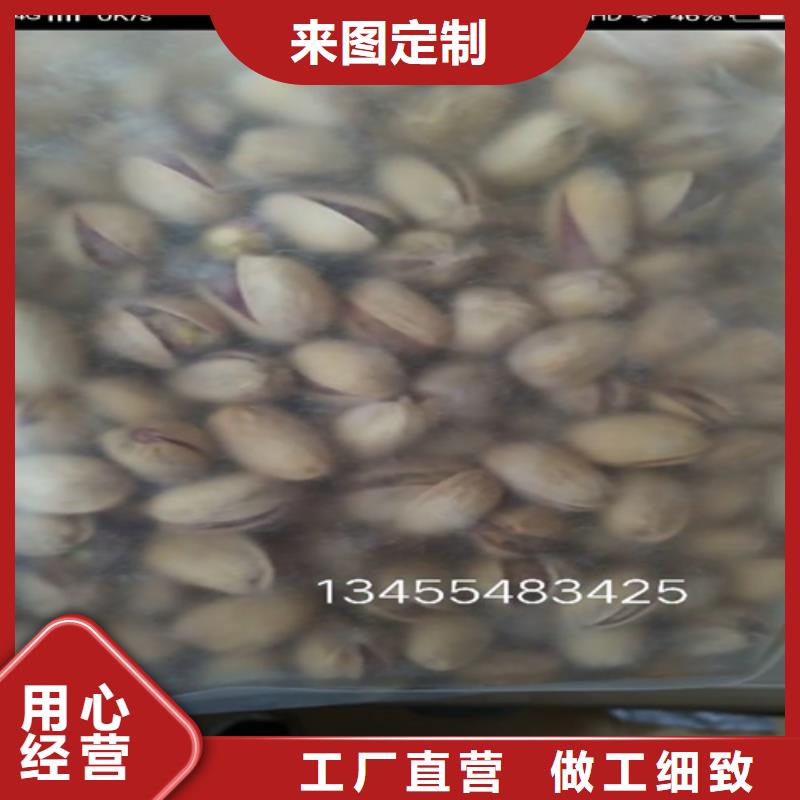 开心果苗欢迎咨询