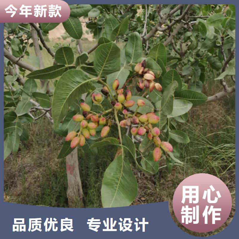 开心果量多优惠