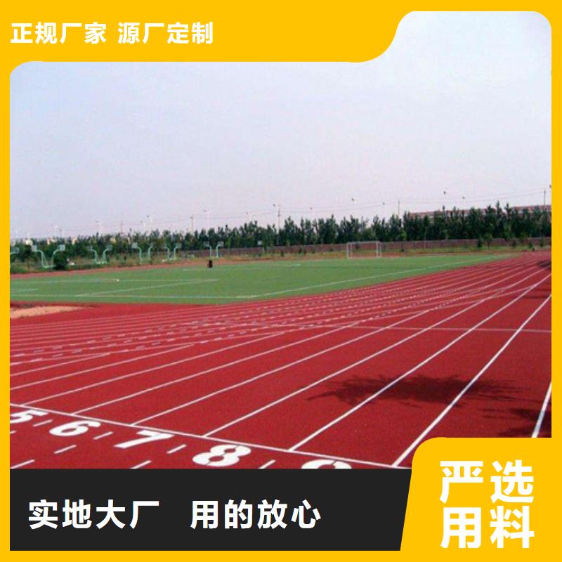 钢城区人造草坪诚信企业