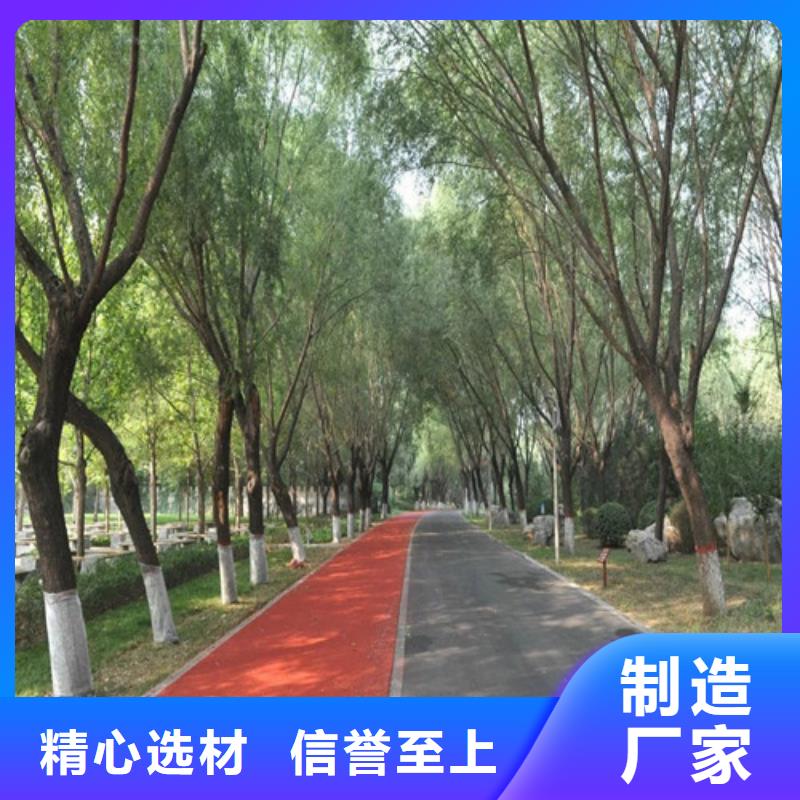 健身步道_校园塑胶跑道一站式厂家