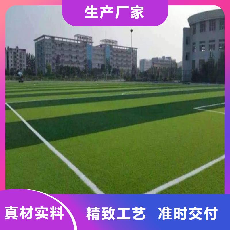 君山区绿草地人造草坪