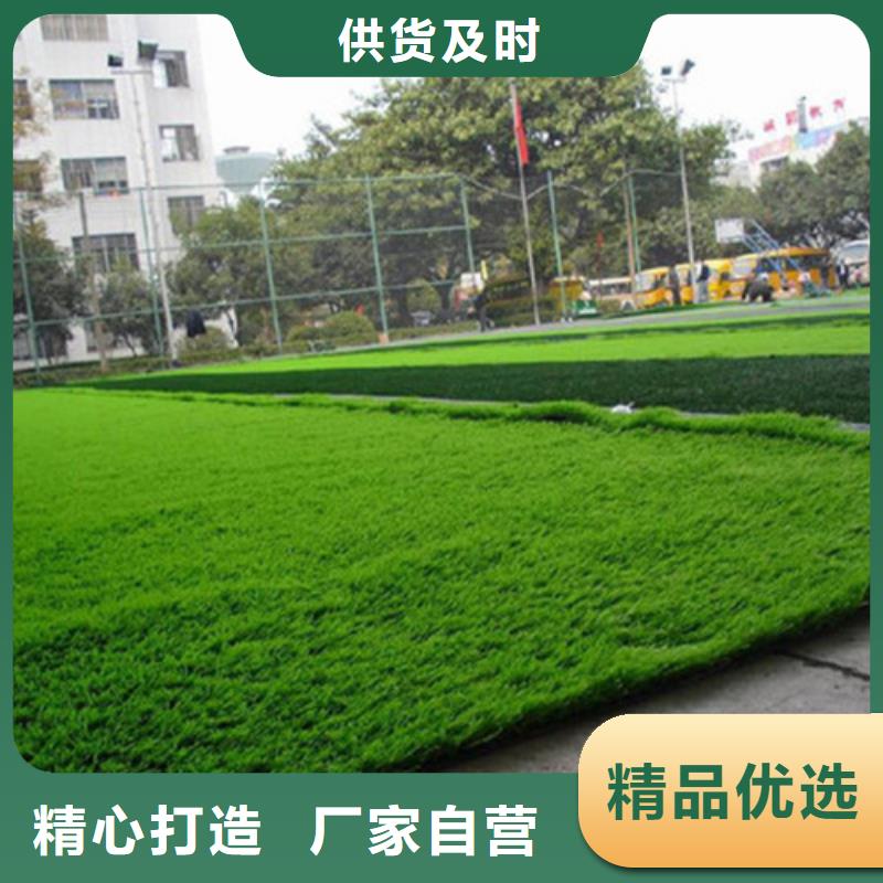 定陶区围挡草坪