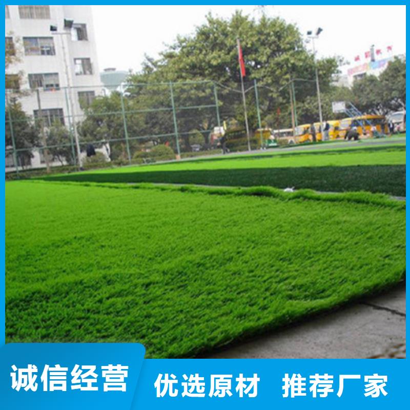 沅陵县仿真人工草坪质量优