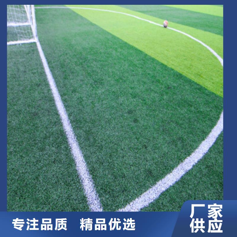 足球场人造草坪品质优