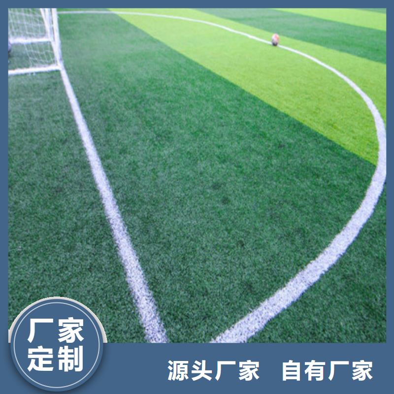 昆山围挡草坪购买
