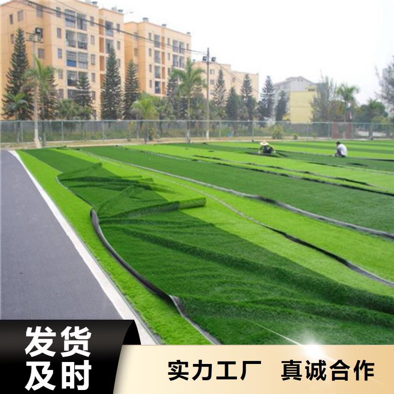 围挡草坪