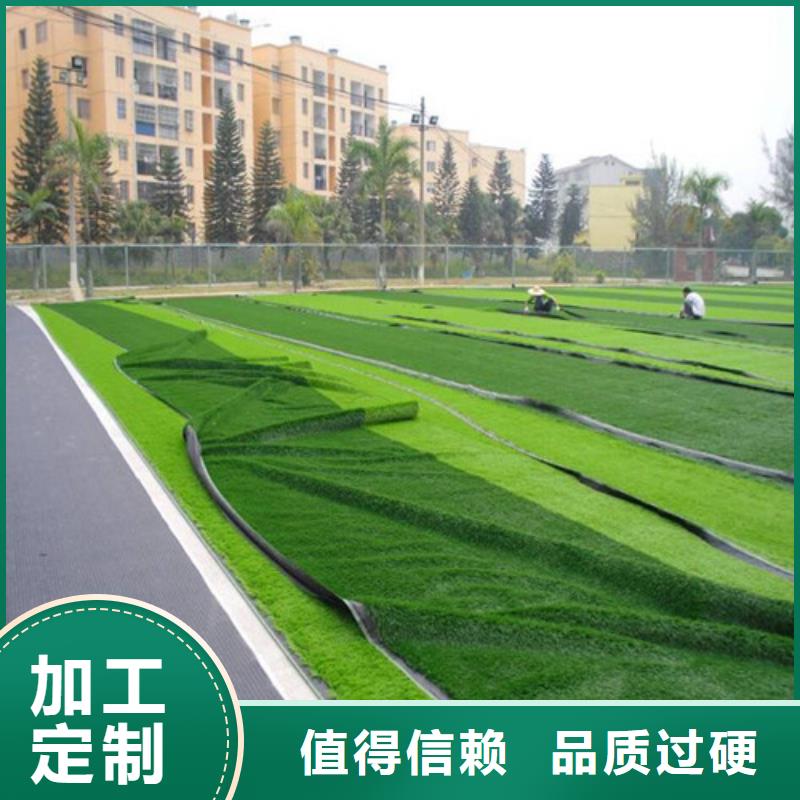汨罗县球场人造草坪规格