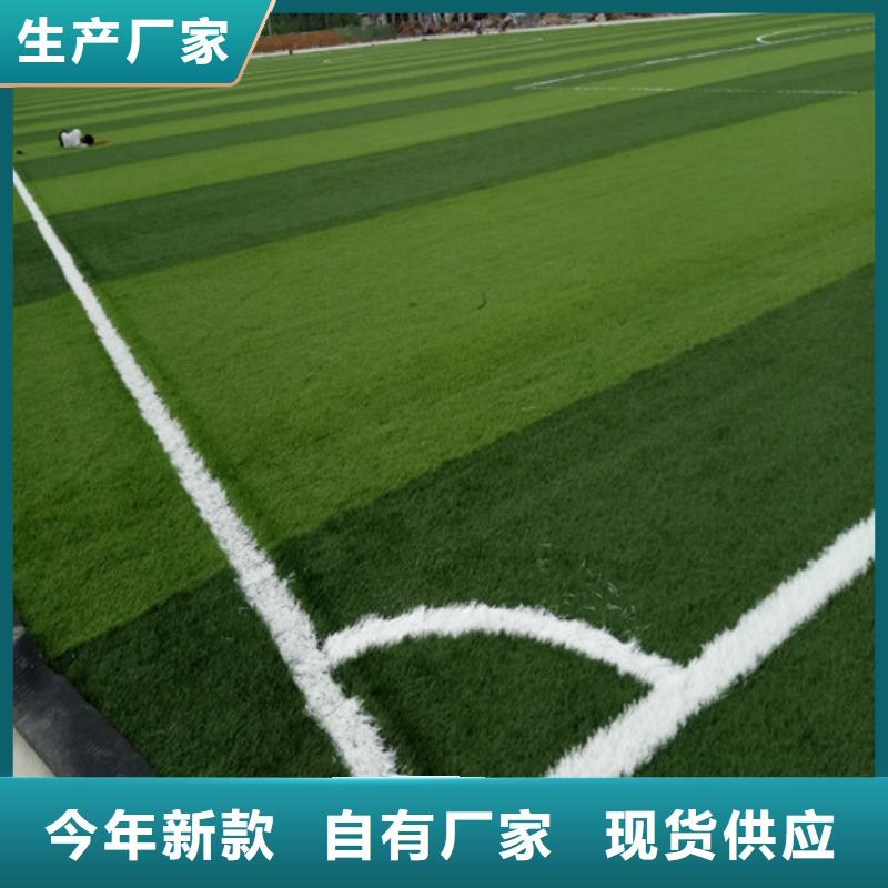 人造草坪订制批发