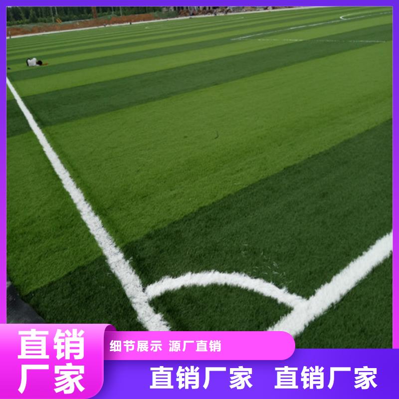 绿草地人造草坪详情电话咨询