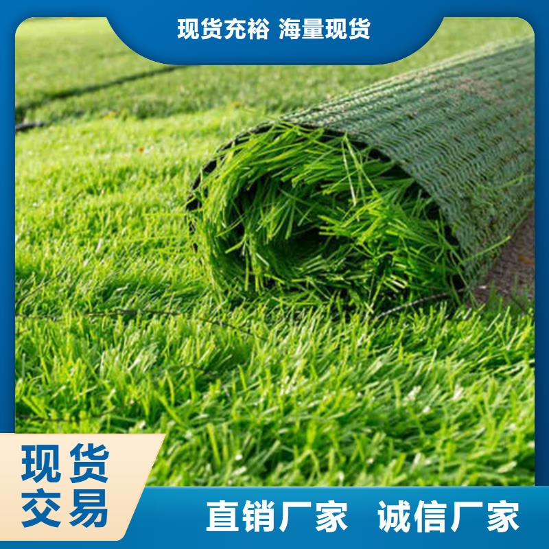 汉寿县仿真人工草坪