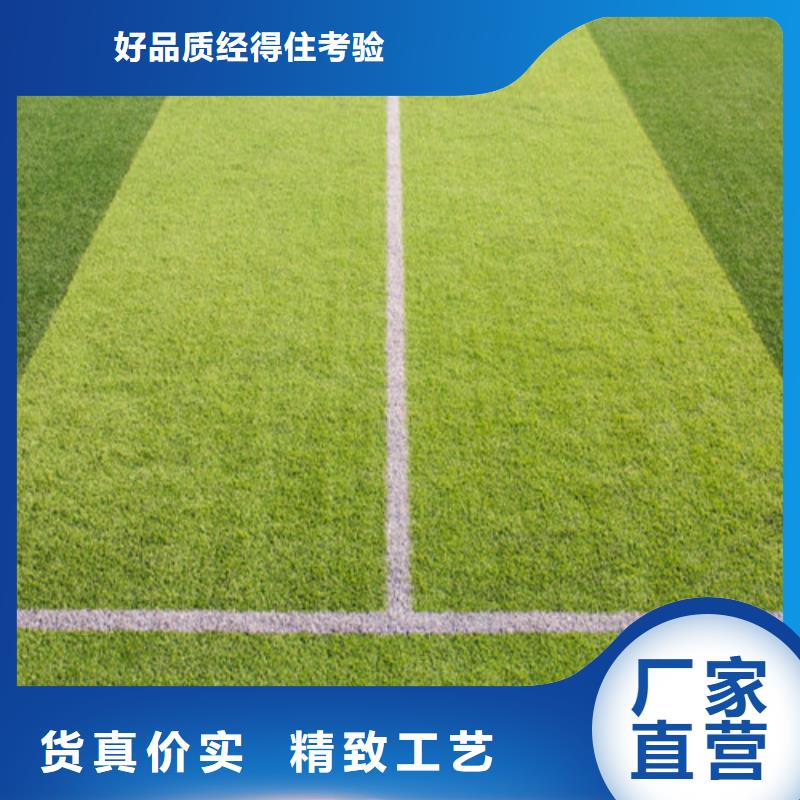 零陵区球场人造草坪