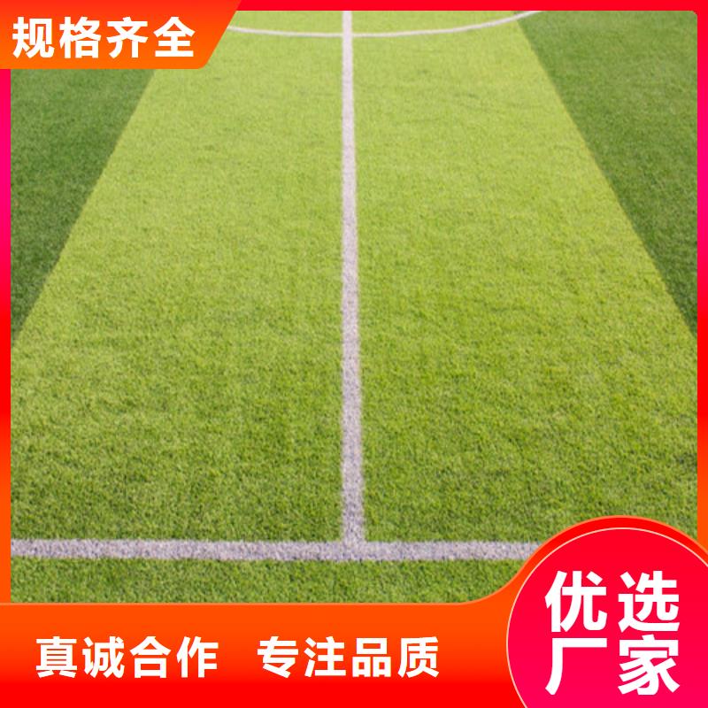 滨海县足球场人造草坪