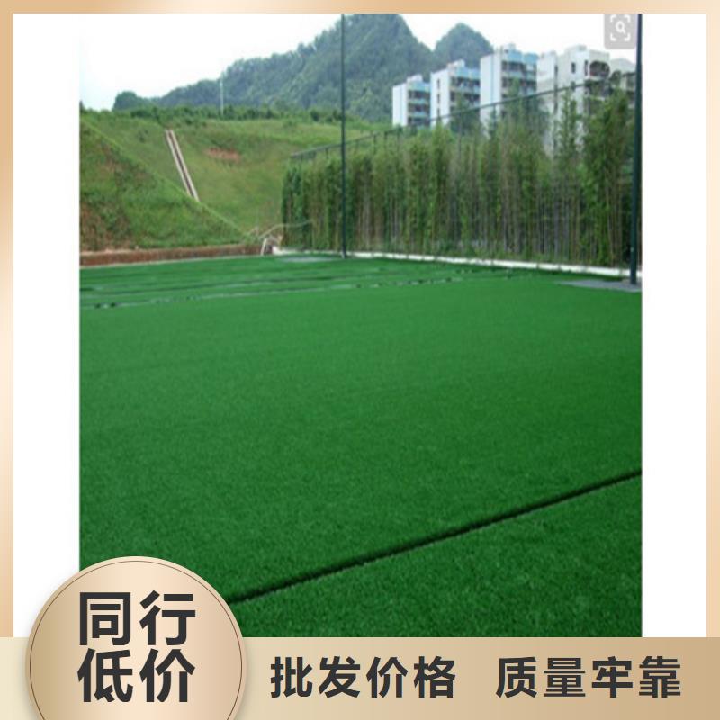 围挡草坪批发价