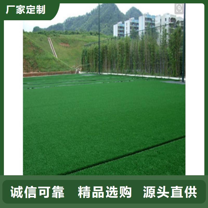 楼区注塑人造草坪