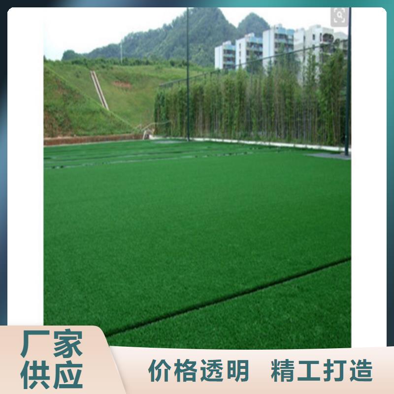 围挡草坪