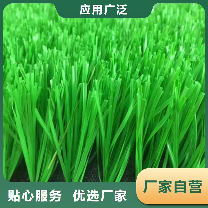 仪征市绿草地人造草坪