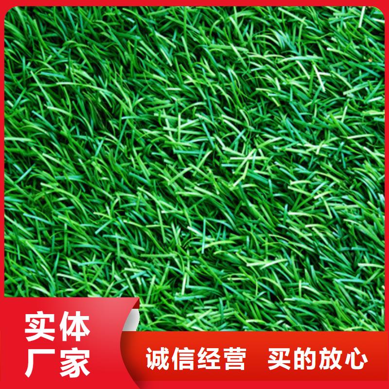 注塑人造草坪价格优