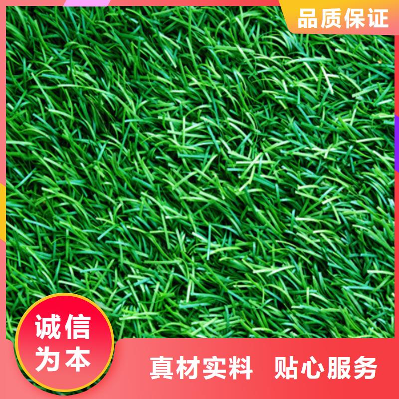 昆山围挡草坪购买