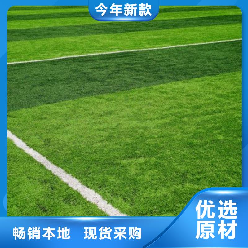 湘阴围挡草坪在线咨询