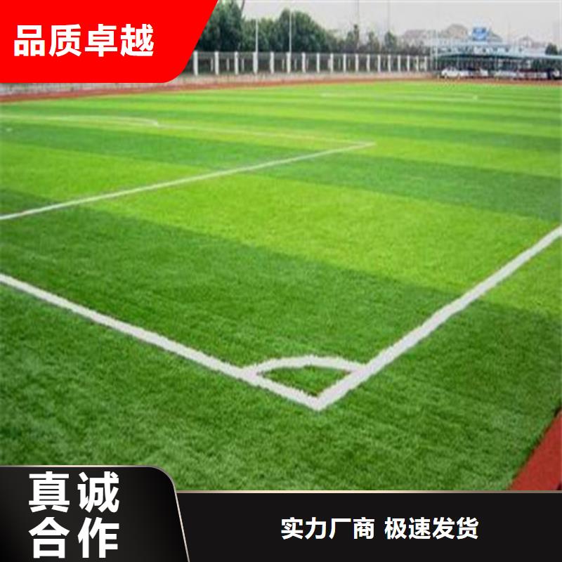 编织人造草坪、编织人造草坪生产厂家-值得信赖