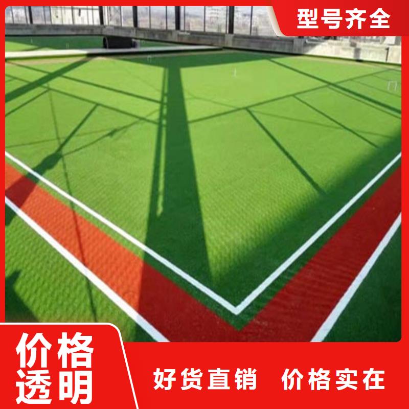 乐东县注塑人造草坪成功案例