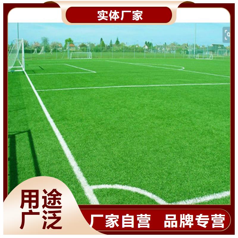 沅陵县仿真人工草坪质量优
