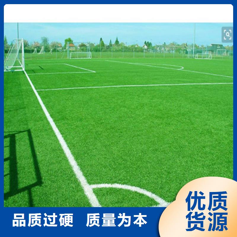 注塑人造草坪价格优