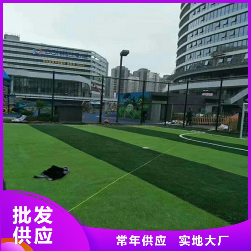 零陵区球场人造草坪