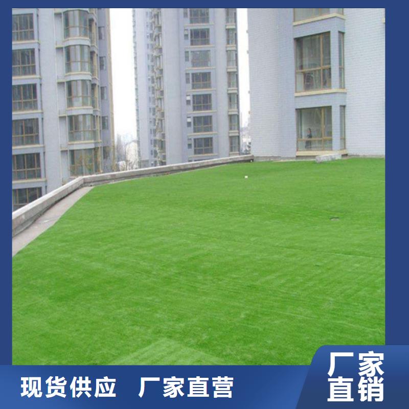 昌江县足球场人造草坪现货上市