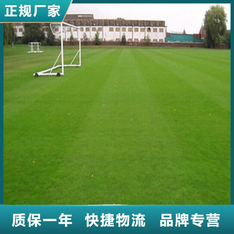 人造草坪,硅PU羽毛球场一站式采购商