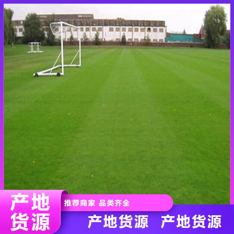 桃源县围挡草坪团队