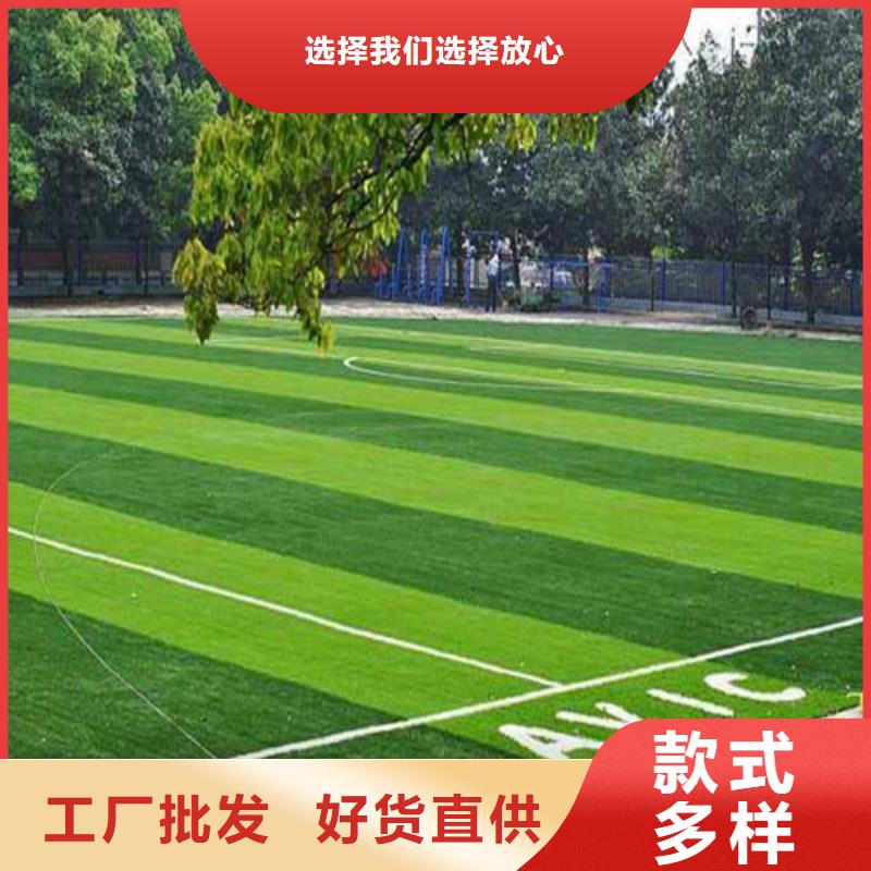 滨海县足球场人造草坪