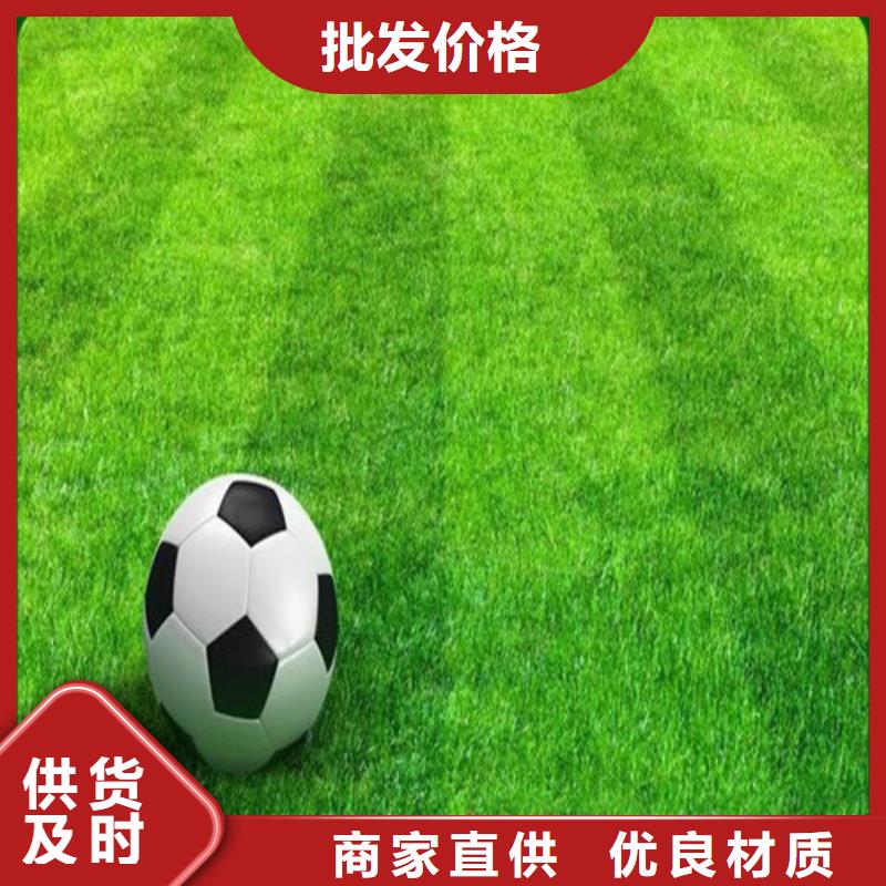 蓬莱市围挡草坪
