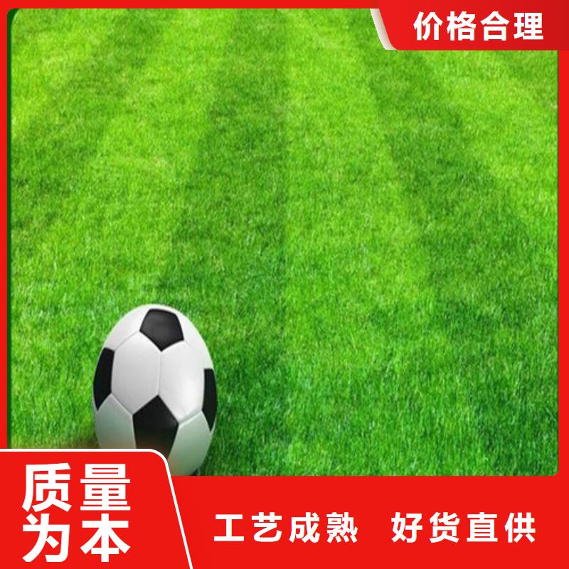 临邑注塑人造草坪择优