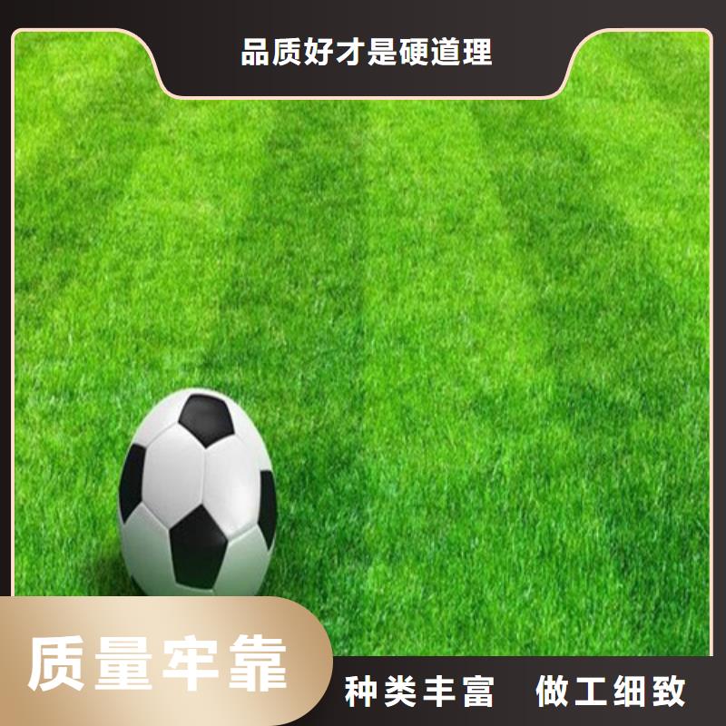 定制编织人造草坪_厂家/供应