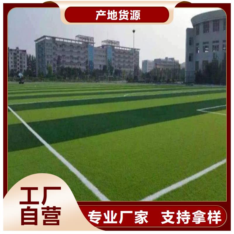 吴兴编织人造草坪择优