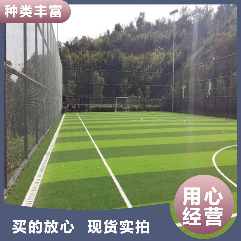 湘阴围挡草坪在线咨询