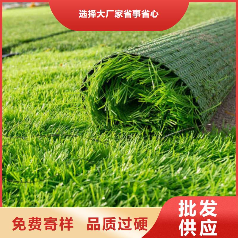 君山区绿草地人造草坪