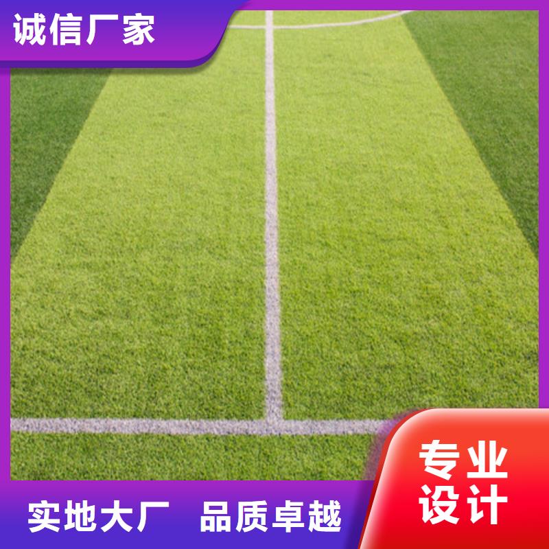 楼区足球场人造草坪