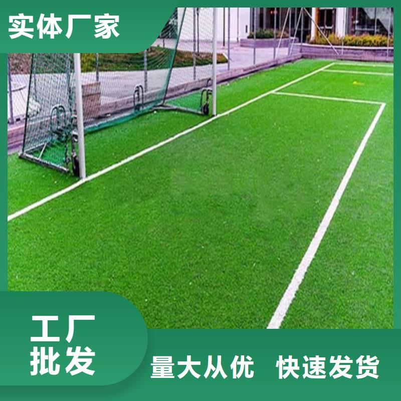 君山区绿草地人造草坪